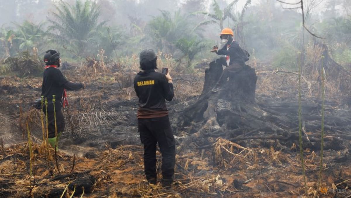 Indonesia Wildfires Expected to Persist Through November Amid Severe El Nino Drought