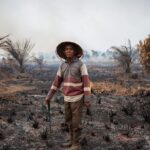 Indonesia Wildfires Stoke Transboundary Haze Crisis as Officials Crack Down Indonesia Wildfires Stoke Transboundary Haze Crisis as Officials Crack Down