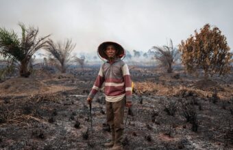 Indonesia Wildfires Stoke Transboundary Haze Crisis as Officials Crack Down