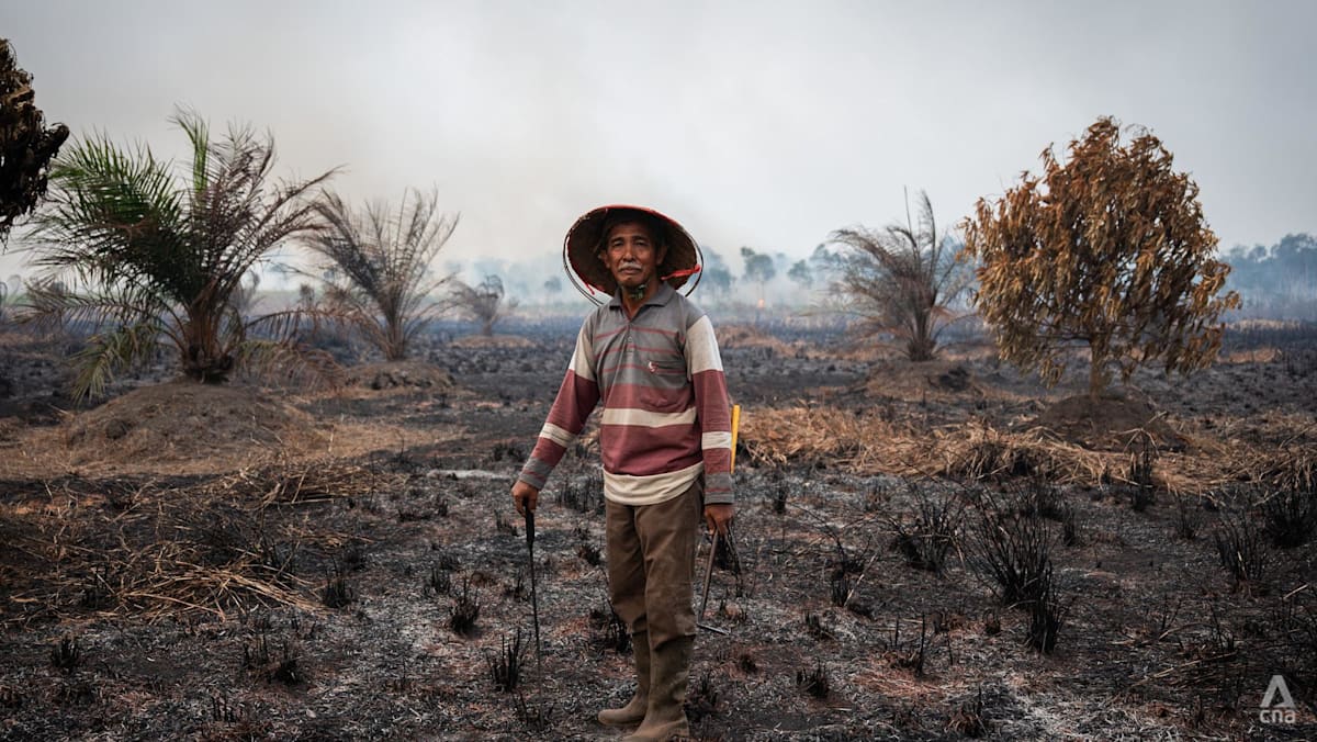 Indonesia Wildfires Stoke Transboundary Haze Crisis as Officials Crack Down