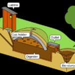 POLICY WIRE FACT CHECK: Biogas faces a market reality check as wind and solar dominate renewables POLICY WIRE FACT CHECK: Biogas faces a market reality check as wind and solar dominate renewables