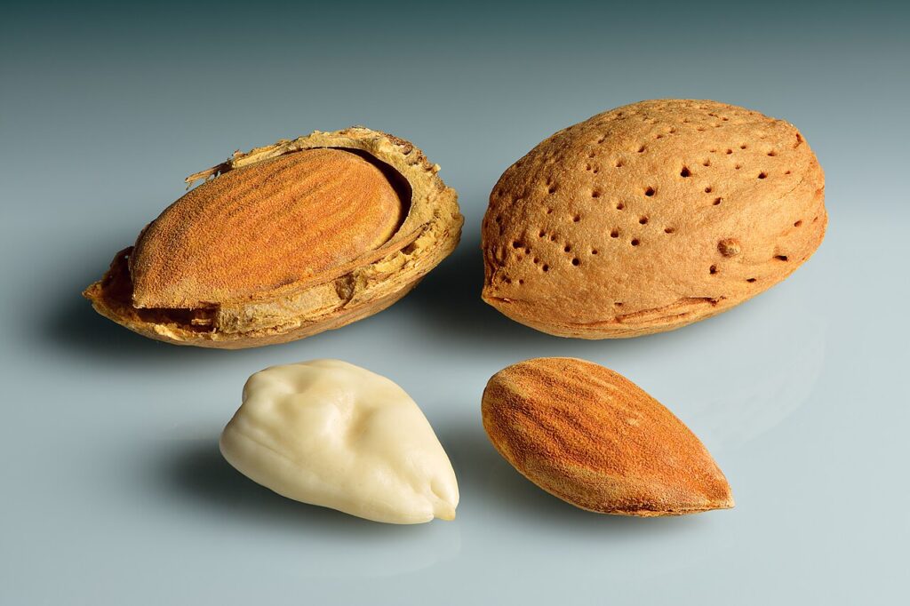 POLICY WIRE FACT CHECK: Almonds or data centers: Which requires more water? Fact-checking AI executive’s claim about ChatGPT POLICY WIRE FACT CHECK: Almonds or data centers: Which requires more water? Fact-checking AI executive’s claim about ChatGPT