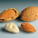 POLICY WIRE FACT CHECK: Almonds or data centers: Which requires more water? Fact-checking AI executive’s claim about ChatGPT