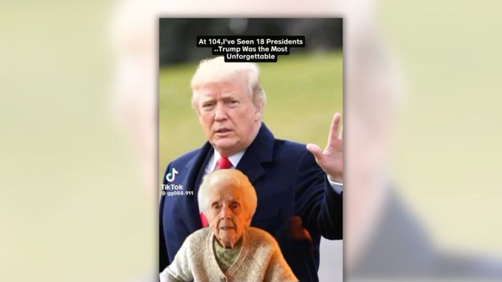 Fact Check Media