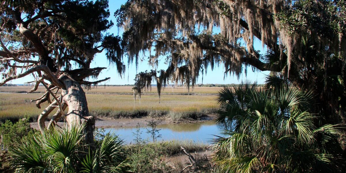 POLICY WIRE FACT CHECK: Trump admin considers giving Cumberland Island National Seashore land to private owners