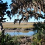 POLICY WIRE FACT CHECK: Trump admin considers giving Cumberland Island National Seashore land to private owners