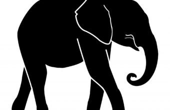 POLICY WIRE FACT CHECK: Viral Claim About US Stock Market Performance on 9/18/2026 POLICY WIRE FACT CHECK: Viral Claim About US Stock Market Performance on 9/18/2026