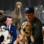 POLICY WIRE FACT CHECK: 12 AI-Generated Dog Stories, Fact POLICY WIRE FACT CHECK: 12 AI-Generated Dog Stories, Fact