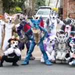 POLICY WIRE FACT CHECK: Video of Furries Does NOT Show Anti POLICY WIRE FACT CHECK: Video of Furries Does NOT Show Anti