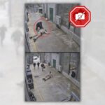 POLICY WIRE FACT CHECK: Viral Claim of Chimpanzee Rescuing Zookeeper Is AI