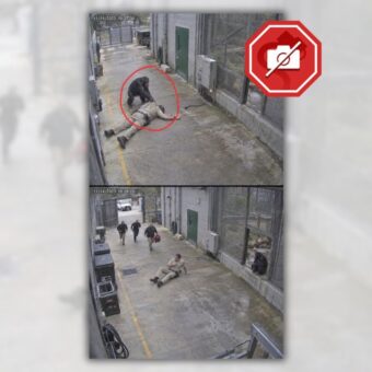 POLICY WIRE FACT CHECK: Viral Claim of Chimpanzee Rescuing Zookeeper Is AI POLICY WIRE FACT CHECK: Viral Claim of Chimpanzee Rescuing Zookeeper Is AI