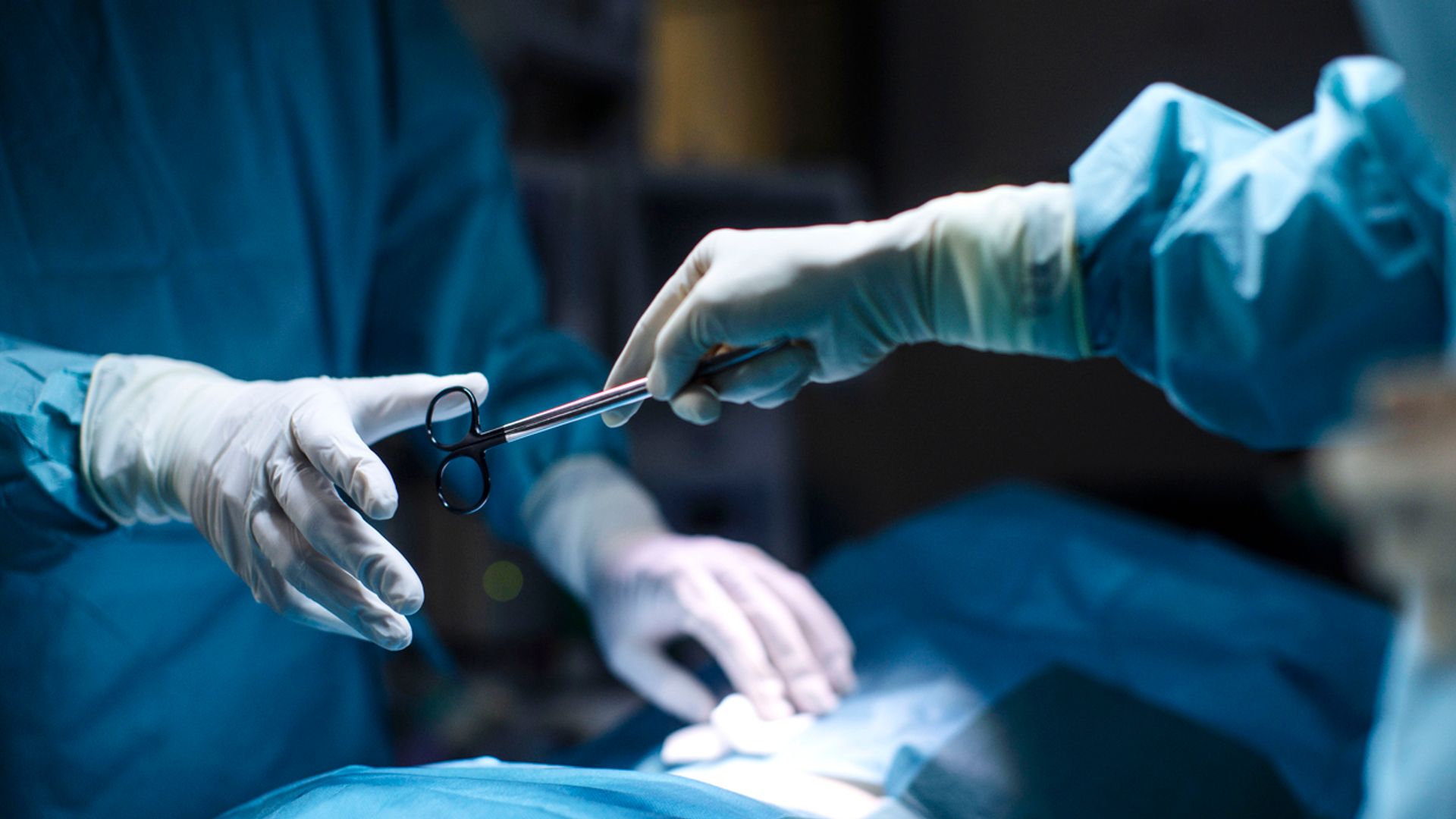 Health Officials Issue Urgent Appeal as Organ Transplant Waiting Lists Hit Record Highs