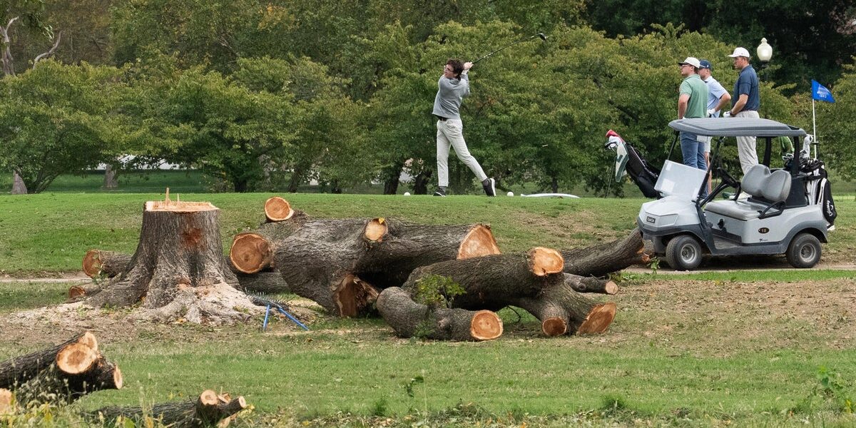 Judge Slams Justice Department Over Sudden Tree Removal at D.C. Golf Course Judge Slams Justice Department Over Sudden Tree Removal at D.C. Golf Course