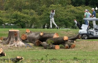 Judge Slams Justice Department Over Sudden Tree Removal at D.C. Golf Course Judge Slams Justice Department Over Sudden Tree Removal at D.C. Golf Course