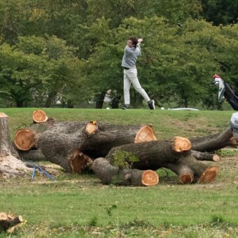 Judge Slams Justice Department Over Sudden Tree Removal at D.C. Golf Course