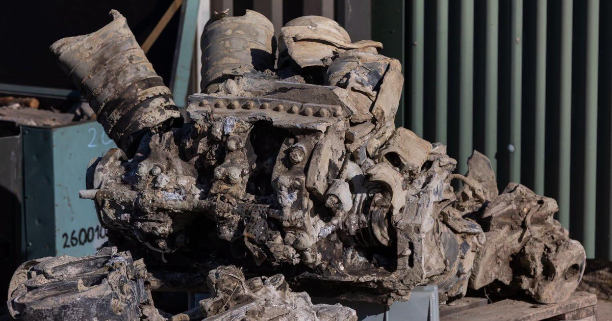 WWII Soviet Fighter Plane and Pilot Relics Unearthed in Rural Hungary