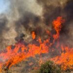 Earth’s Vital Signs Hit Record Extremes in 2026 as Climate Crisis Accelerates Earth’s Vital Signs Hit Record Extremes in 2026 as Climate Crisis Accelerates