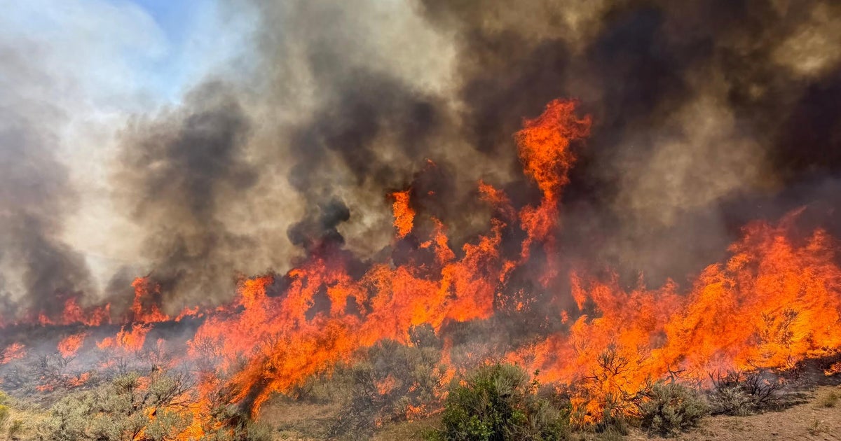 Earth’s Vital Signs Hit Record Extremes in 2026 as Climate Crisis Accelerates Earth’s Vital Signs Hit Record Extremes in 2026 as Climate Crisis Accelerates