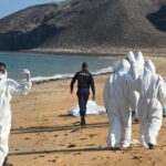 139 Dead in Migrant Boat Disaster Off Africa, Including 15 Children 139 Dead in Migrant Boat Disaster Off Africa, Including 15 Children