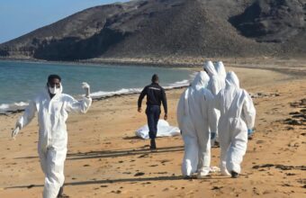 139 Dead in Migrant Boat Disaster Off Africa, Including 15 Children 139 Dead in Migrant Boat Disaster Off Africa, Including 15 Children