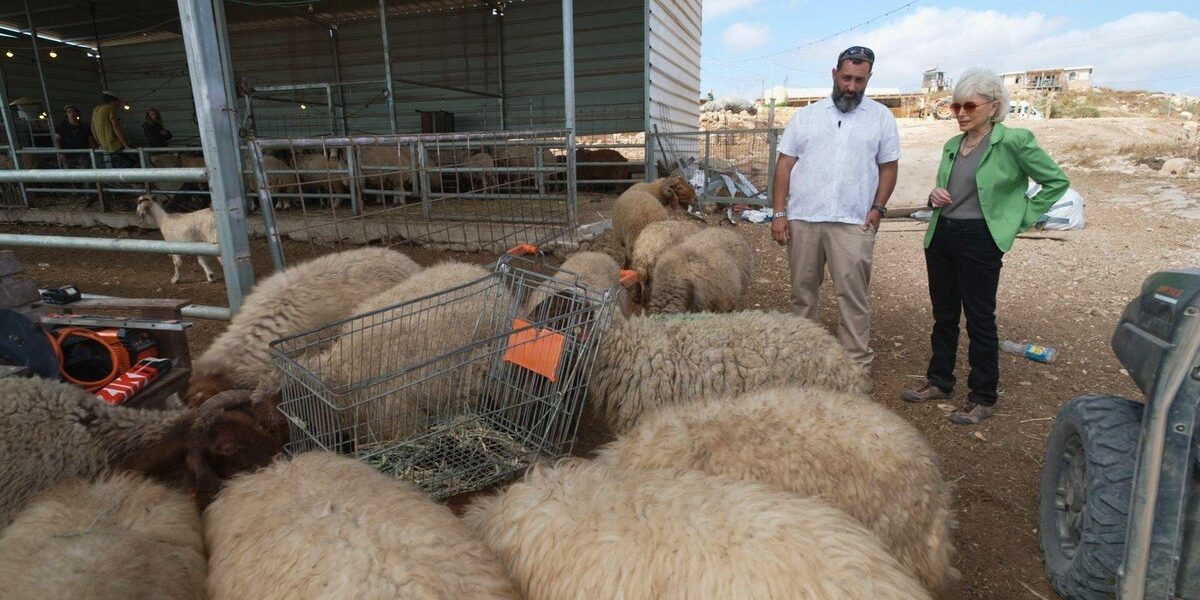 West Bank Settlers Use Livestock as Strategic Tool to Displace Palestinian Residents West Bank Settlers Use Livestock as Strategic Tool to Displace Palestinian Residents