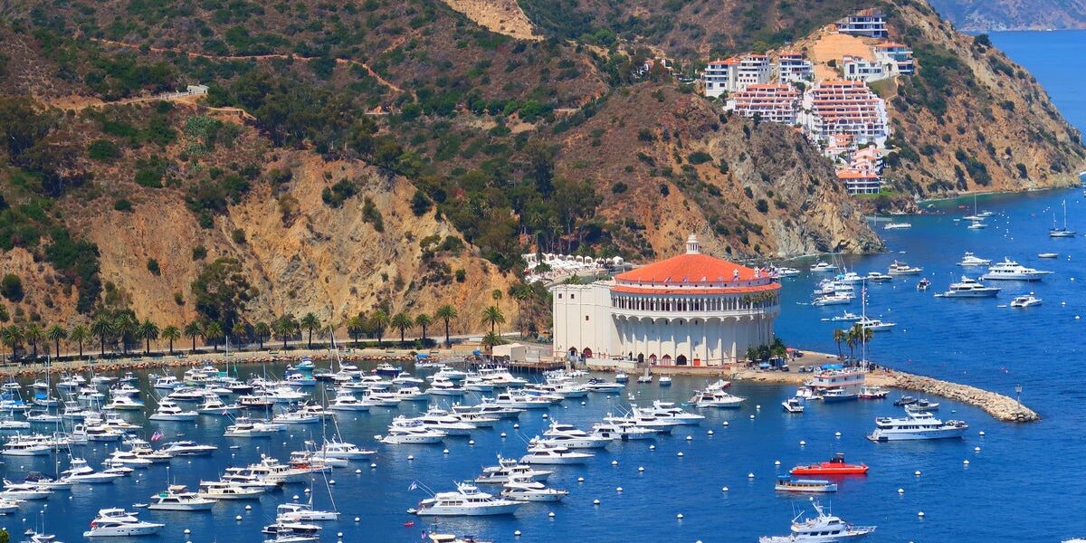 2 Dead, 2 Injured, 1 Missing After Helicopter Crashes Off Catalina Island 2 Dead, 2 Injured, 1 Missing After Helicopter Crashes Off Catalina Island