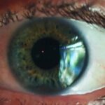 Navigating a World of Deepfakes: When Reality Itself Is in Doubt
