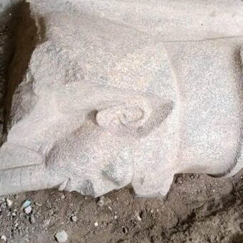 Egyptian Farmer’s Discovery Leads to Unearthing of Massive Ramses II Statues Egyptian Farmer’s Discovery Leads to Unearthing of Massive Ramses II Statues