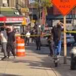 ICE Agent Shocks New York City with Shooting in Marble Hill Neighborhood