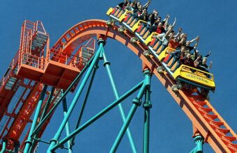 Six Flags Halts 9 Rides Across 6 Parks After Georgia Coaster Tragedy