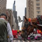 New York City Poised to End 150-Year Tradition with Central Park Carriage Ban