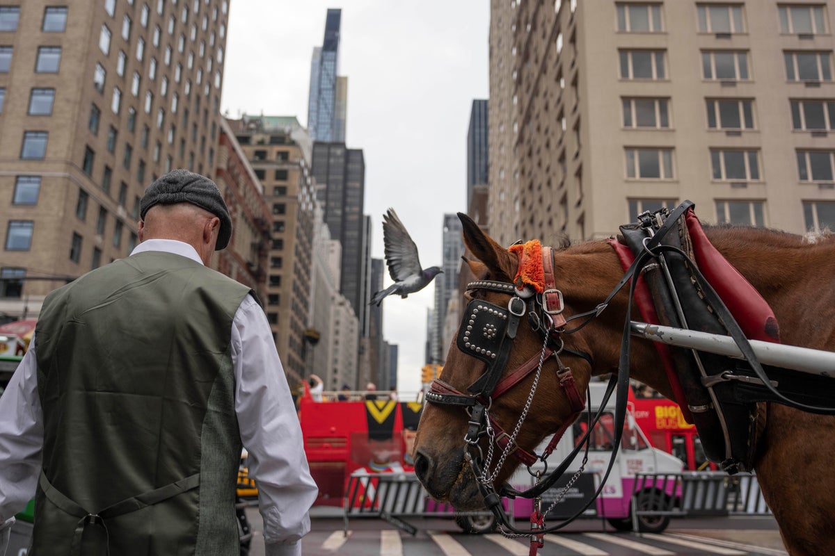 New York City Poised to End 150-Year Tradition with Central Park Carriage Ban New York City Poised to End 150-Year Tradition with Central Park Carriage Ban