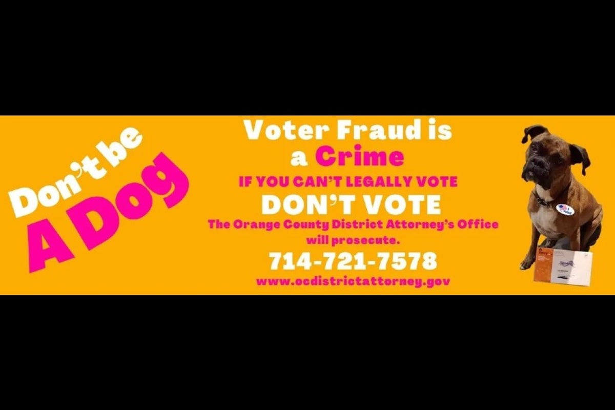 California Woman Faces Unique Penalty After Registering Dog to Vote