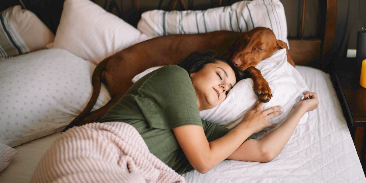 Co-Sleeping with Pets May Harm Sleep Quality, Study Finds Co-Sleeping with Pets May Harm Sleep Quality, Study Finds