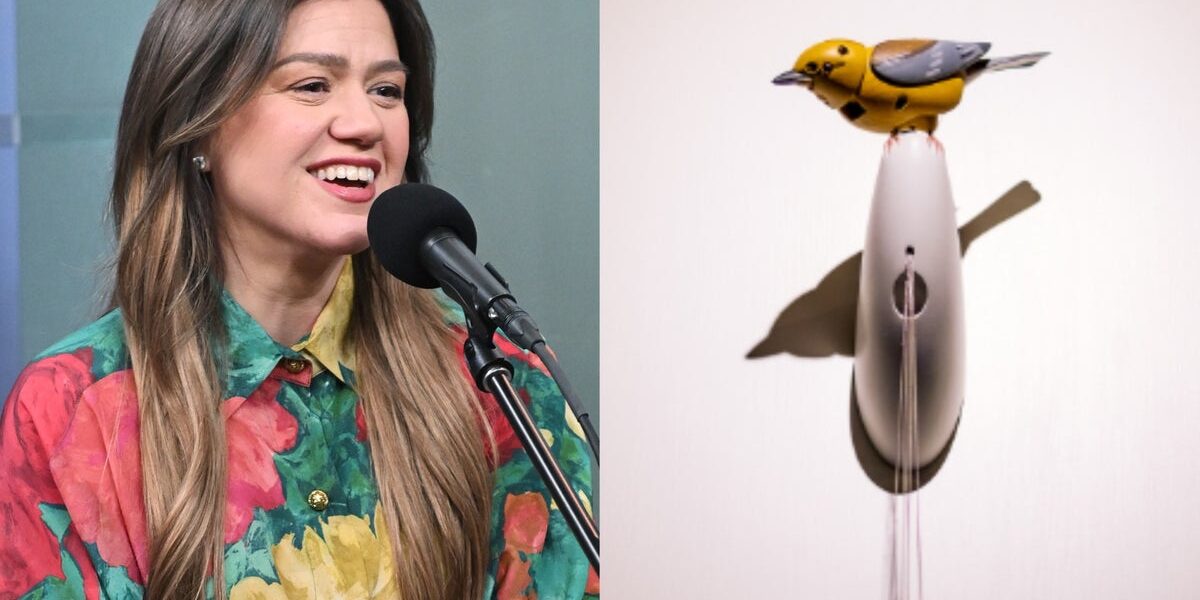 Kelly Clarkson and NYC Store Clash Over K Bird Automaton Kelly Clarkson and NYC Store Clash Over K Bird Automaton