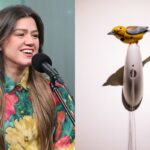 Kelly Clarkson and NYC Store Clash Over K Bird Automaton
