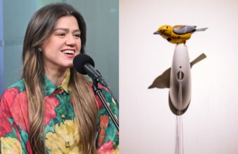 Kelly Clarkson and NYC Store Clash Over K Bird Automaton