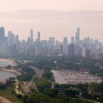 Over 1,000 Birds Killed or Injured in Chicago Building Collisions Over Weekend Over 1,000 Birds Killed or Injured in Chicago Building Collisions Over Weekend