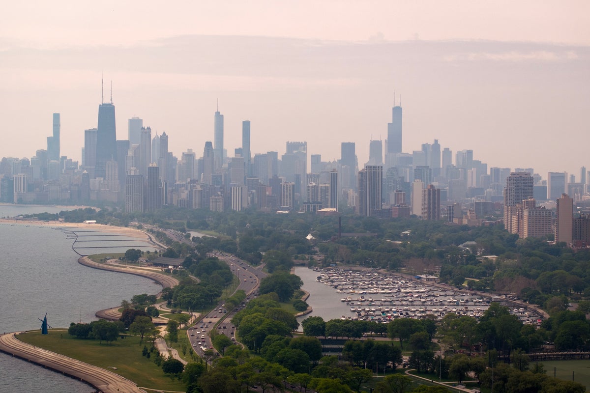 Over 1,000 Birds Killed or Injured in Chicago Building Collisions Over Weekend Over 1,000 Birds Killed or Injured in Chicago Building Collisions Over Weekend