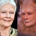 Dame Judi Dench Reflects on the ‘Cats’ Film Disaster: ‘I Can’t Bear It’ Dame Judi Dench Reflects on the ‘Cats’ Film Disaster: ‘I Can’t Bear It’