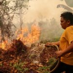Four Fatalities Reported as Massive Wildfires Trap Firefighters in Indonesia Four Fatalities Reported as Massive Wildfires Trap Firefighters in Indonesia