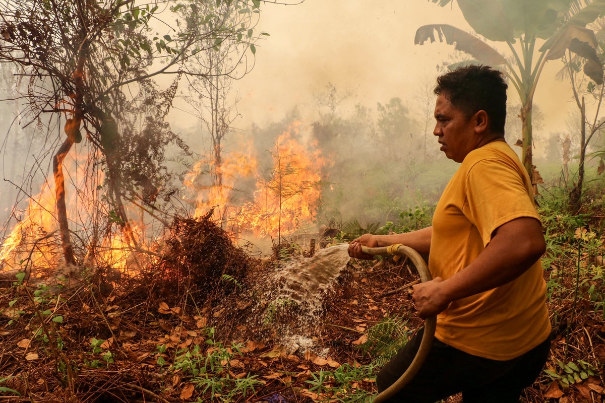 Four Fatalities Reported as Massive Wildfires Trap Firefighters in Indonesia