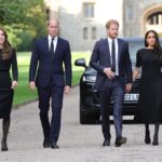 Prince William May Strip Prince Harry of HRH Title Upon Accession, Former Aide Suggests Prince William May Strip Prince Harry of HRH Title Upon Accession, Former Aide Suggests