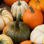 Don’t Toss That Jack-O’-Lantern: Why Your Halloween Pumpkin Is a Nutritional Powerhouse Don’t Toss That Jack-O’-Lantern: Why Your Halloween Pumpkin Is a Nutritional Powerhouse