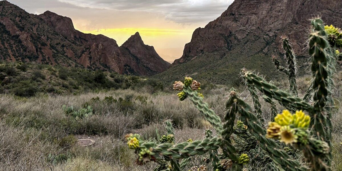 Federal Court Halts Trump-Era Border Wall Construction in Texas’ Big Bend Region Federal Court Halts Trump-Era Border Wall Construction in Texas’ Big Bend Region