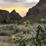 Federal Court Halts Trump-Era Border Wall Construction in Texas’ Big Bend Region Federal Court Halts Trump-Era Border Wall Construction in Texas’ Big Bend Region