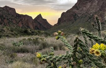 Federal Court Halts Trump-Era Border Wall Construction in Texas’ Big Bend Region