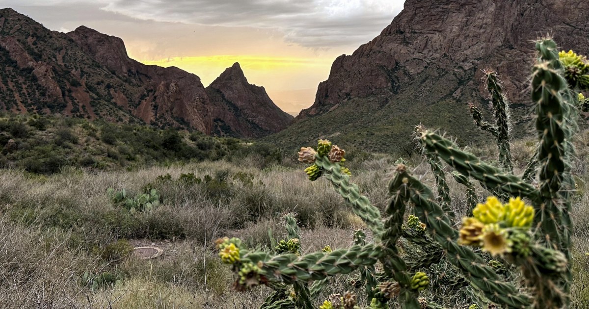 Federal Court Halts Trump-Era Border Wall Construction in Texas’ Big Bend Region Federal Court Halts Trump-Era Border Wall Construction in Texas’ Big Bend Region