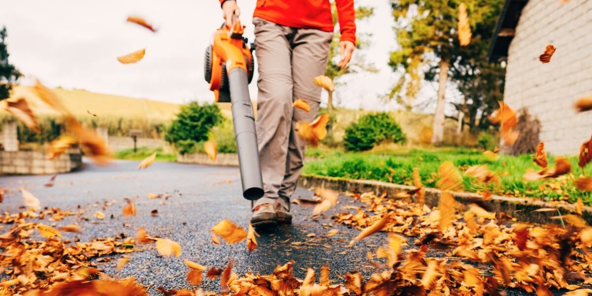 Top Leaf Blowers for Efficient Yard Cleanup, Expert-Tested and Reviewed Top Leaf Blowers for Efficient Yard Cleanup, Expert-Tested and Reviewed