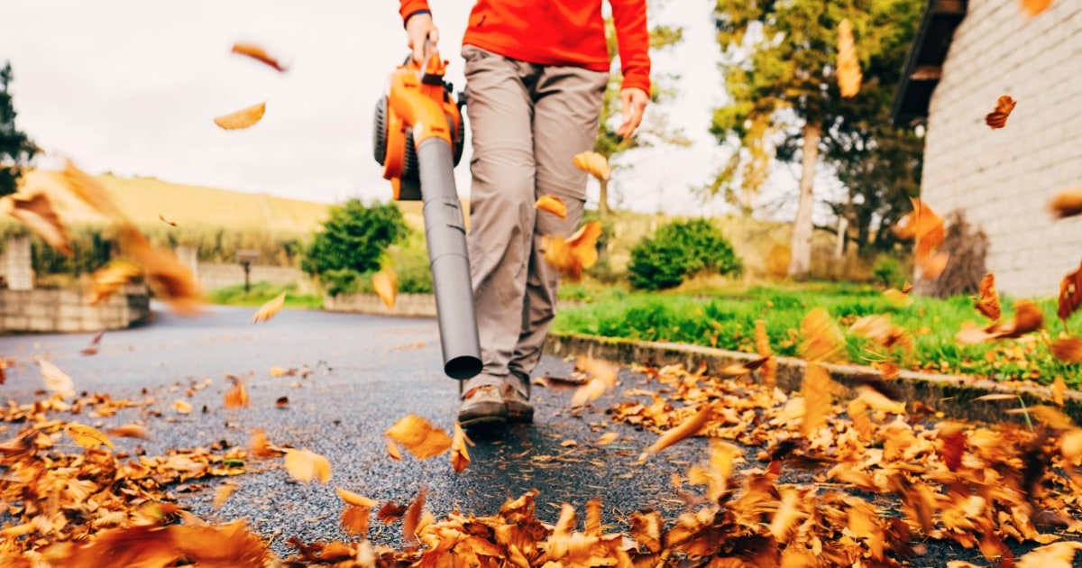 Top Leaf Blowers for Efficient Yard Cleanup, Expert-Tested and Reviewed